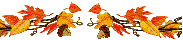 Fall Leaves