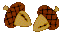 Acorns