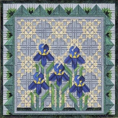 Spring Irises